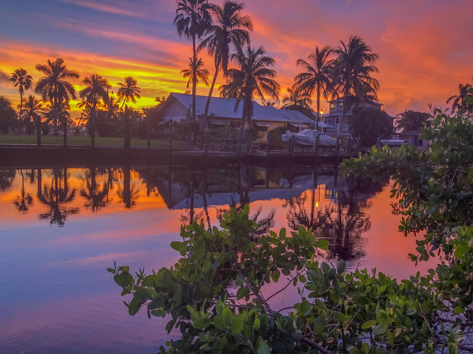 Vibrant sunset over a canal in Florida with palm trees and vivid reflections.